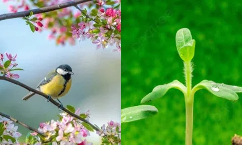 Không phải mùng 1 Tết, hãy làm điều này vào ngày 25/12 âm lịch để cầu may cho năm mới