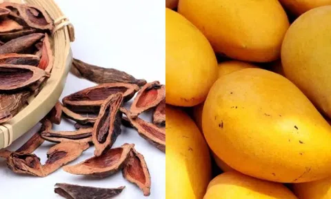 4 loại ‘trái cây’ dễ đánh thức tế bào ung thư, dù thích ăn bao nhiêu cũng nên cắn răng nhịn!