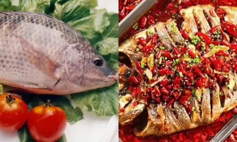 Ba loại cá ăn vô cùng quen thuộc, ăn quá nhiều có thể gây ung thư!