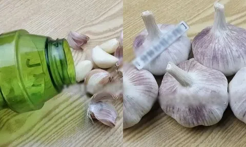 Đừng bóc tỏi bằng tay nữa, dưới đây là 5 mẹo bóc tỏi dễ dàng trong 1 phút, tiết kiệm cả khối thời gian!