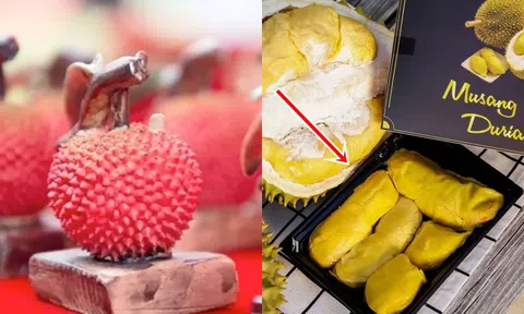 3 loại trái cây đắt nhất, 90% người dân chưa bao giờ ăn chúng: Một quả vải có giá đến tiền tỷ!