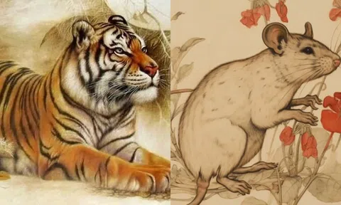 Tết đến, 3 con giáp này sẽ đổi vận, phú quý, tiền bạc ngập nhà!