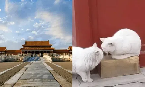 Tại sao nhân viên luôn hét 3 lần trước khi Tử Cấm Thành: Hoá ra không chỉ vì chuyện tâm linh?