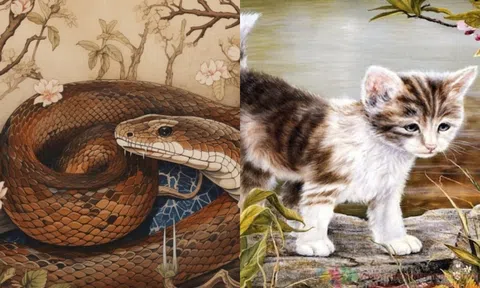 Đường tình duyên các con giáp vào năm 2024: Tuổi Hổ dễ cãi vã, 2 tuổi này có thể sẽ làm đám cưới!