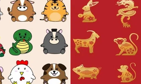 Phụ nữ thuộc 4 con giáp được xem là hoá thân của các ‘Bồ Tát,  sẽ giàu có và quyền lực trong suốt cuộc đời