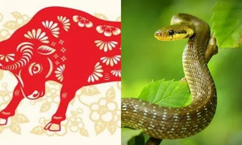 Từ tuần sau, 3 con giáp này sẽ may mắn về tình duyên lẫn tiền bạc!