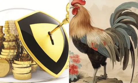 Ai tuổi Dậu cần chú ý, năm 2024 sẽ thay đổi đột ngột, là phúc hay họa?