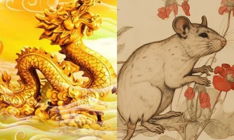 1:52 PM Nữ tuổi Tý và nam Rồng có hợp nhau không? Lấy nhau về sẽ ra sao?