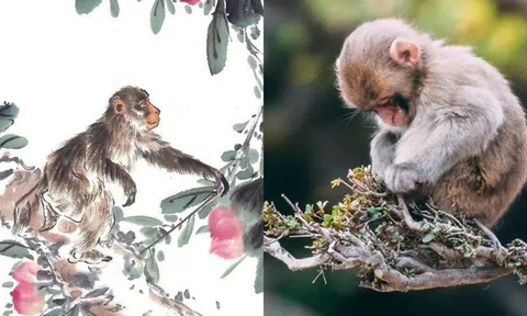 Người tuổi Thân sinh vào những tháng này là người chăm chỉ, tốt bụng, tương lai sẽ giàu có!