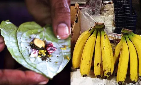 4 loại trái cây có thể kích hoạt tế bào ung thư, bác sĩ xưa nay không bao giờ ăn, giờ biết vẫn chưa muộn!