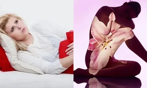 Tại sao phụ nữ có kinh nguyệt: Bí ẩn của việc tiến hóa?