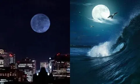 Nếu mặt trăng đột nhiên biến mất, trái đất sẽ có những thay đổi gì? Con người vẫn có thể sống sót chứ?