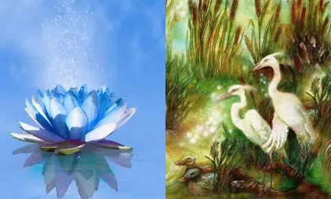 4 giấc mơ báo điềm lành: Bật mí mật mã may mắn trong giấc mơ, bạn nhất định phải biết!