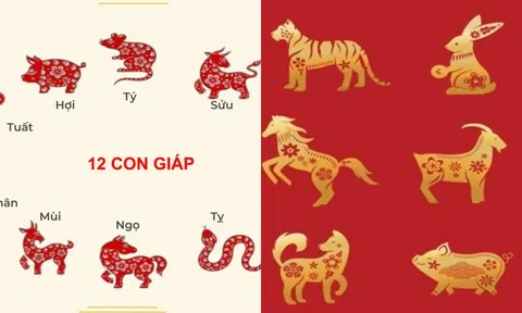 Vợ chồng thuộc hai cặp con giáp này, nếu không cãi nhau thì sẽ hưởng phúc vô tận!