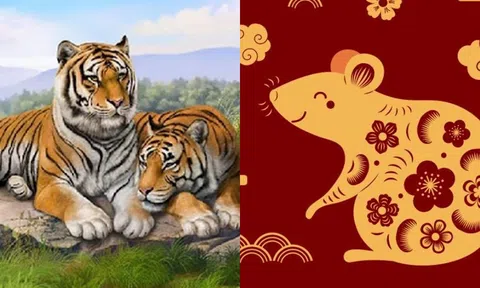 Bốn con giáp may mắn nhất, sinh ra đã tràn đầy tài lộc và phước lành!