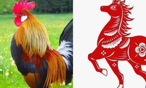 4 con giáp dễ mê hoặc đàn ông nhất: Sở hữu sự quyến rũ khó chống lại được!