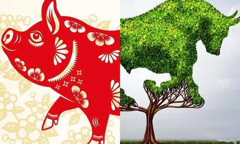 5 con giáp giàu có và thịnh vượng: Số tiền tiết kiệm không ngừng tăng lên