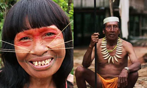 Bộ lạc sử dụng chất kích thích trước khi đi ắn, tỉnh táo đến tận vài ngày; tất cả người trong làng đều có chung huyết thống