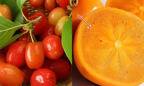 Nếu thuyết tiến hóa là đúng, tại sao thực vật không tiến hóa để trở nên khó ăn? Quả có vị ngọt hóa ra là vì điều này!