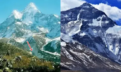 Cỏ có thể mọc trên đỉnh Everest, các nhà khoa học cảnh báo: Hơn 1,4 tỷ người có thể bị ảnh hưởng!