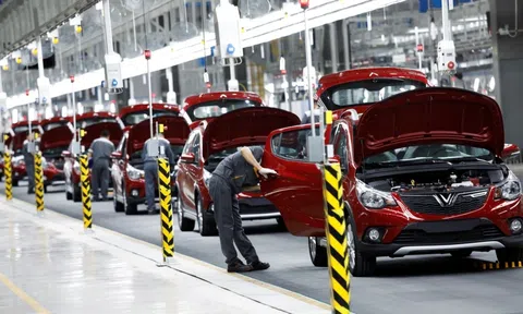 VinFast "rục rịch" tìm kiếm địa điểm lý tưởng cho nhà máy xe điện tại Ấn Độ