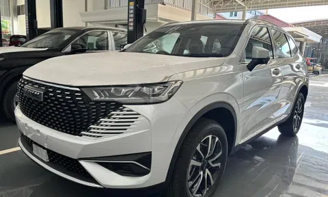 Bị chê "ngáo giá", Haval H6 sắp cho ra lò phiên bản giá rẻ để cạnh tranh Mazda CX-5