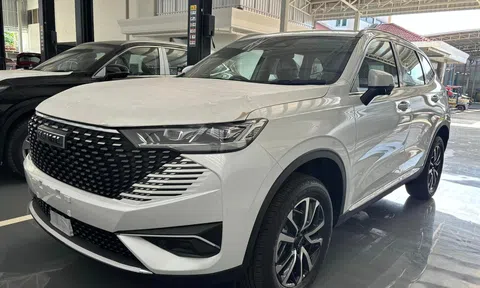 SUV "siêu tiết kiệm xăng" Haval H6 sắp có bản giá rẻ, giá dự kiến dưới 800 triệu đồng?