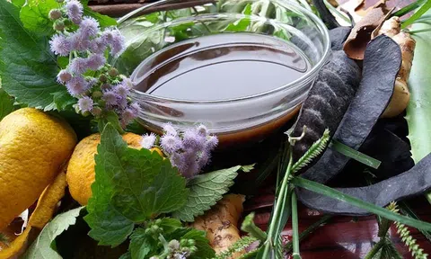 Top dầu gội thảo dược tự nhiên cho nữ được yêu thích nhất