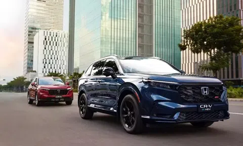 Honda CR-V tăng trưởng ấn tượng nhưng vẫn xếp sau CX-5, Territory và Tucson