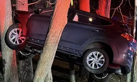 Chủ xe Hyundai Tucson thực hiện ‘chuyến bay’ không tưởng khiến ô tô mắc kẹt trên cây