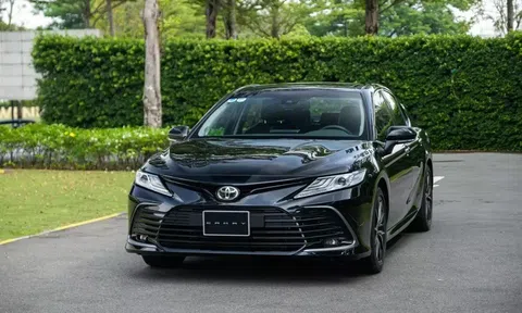 Tăng trưởng gần gấp đôi, Toyota Camry là "ông vua phân khúc" sedan hạng D