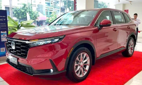 Honda giảm giá City, CR-V lên tới gần trăm triệu, ‘mừng tuổi’ khách hàng đầu xuân 2024