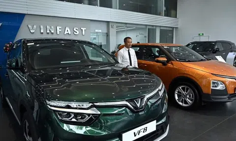 VinFast được cấp gần 160 hecta đất tại Ấn Độ để xây dựng nhà máy ô tô điện