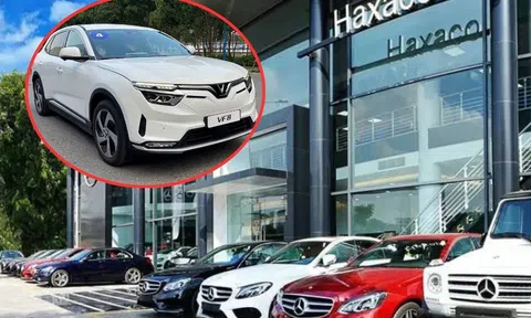 VinFast sẽ mở rộng bán ô tô điện tại Việt Nam thông qua nhà phân phối Mercedes-Benz