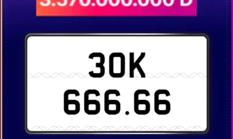 Biển số ô tô siêu VIP 30K-666.66 tái xuất sàn đấu giá với mức trúng “rẻ” ngỡ ngàng