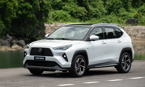 Toyota cùng 3 hãng ô tô Nhật Bản khác thừa nhận có gian lận trong quá trình kiểm tra an toàn xe