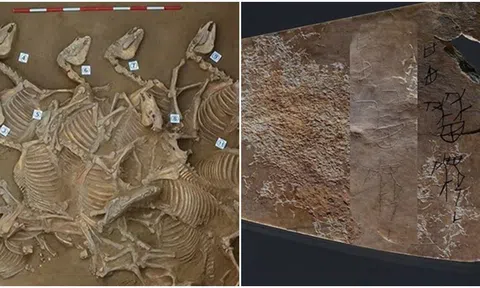 Phát hiện hố hiến tế thời kì đồ đồng chứa loạt ‘kho báu’ ở Trung Quốc