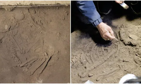 Phát hiện di cốt 10.000 năm tuổi ở quần thể danh thắng Tam Chúc, Hà Nam