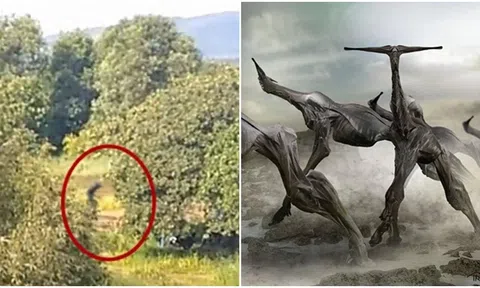 Giải mã về sinh vật bí ẩn xuất hiện tại rừng rậm Nam Mỹ, từng bị nghi là người ngoài hành tinh