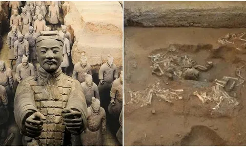 Dấu tích của cỗ xe cừu kéo 2.000 năm tuổi cực hiếm được phát hiện gần 'Đội quân đất nung' của Tần Thủy Hoàng