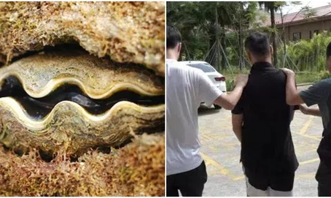 Trả giá cao để mua về 3 vỏ trai khổng lồ, 2 năm sau người đàn ông bất ngờ bị công an bắt
