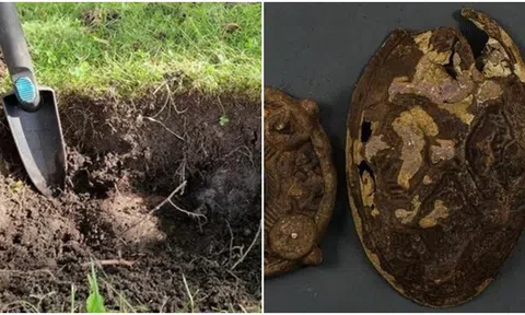 1 gia đình phát hiện kho báu hơn 1.000 năm dưới gốc cây, lập tức gọi cơ quan chức năng để giao nộp