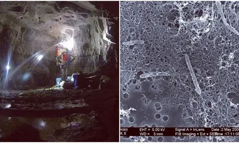 Loài vi sinh vật bí ẩn sống ở 2.800m dưới lòng đất: Sống ở nơi khắc nghiệt hiếm loài nào tồn tại