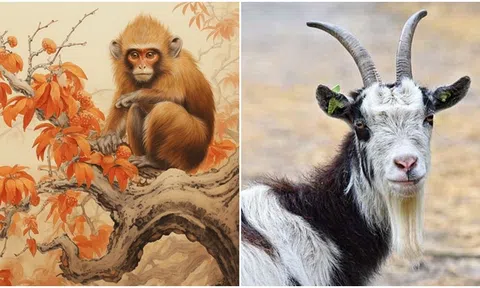 Từ 20/11 đến 29/11, 4 con giáp sau tiền vào như nước, sư nghiệp lên như diều gặp gió