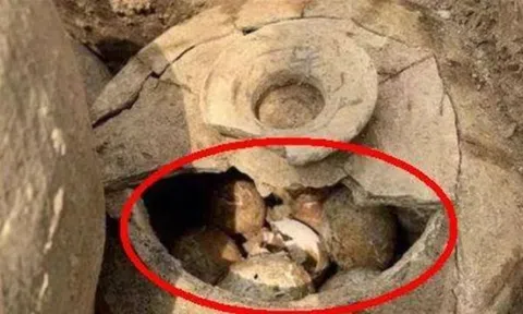 Bí ẩn về những quả trứng trong lăng mộ cổ, tiềm tàng mối nguy hiểm không thể ngờ