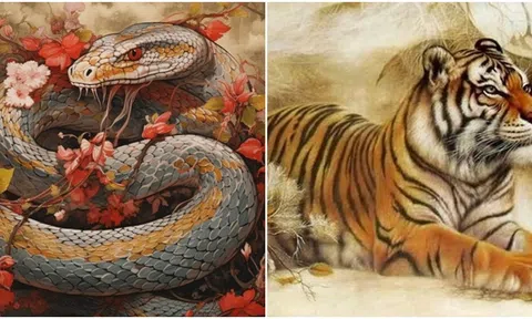 Phụ nữ 3 cung hoàng đạo này càng trưởng thành càng có phúc: Sinh ra để giàu có, phú quý và trường thọ