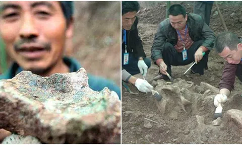 Người nông dân đào được ‘báu vật’ 150 triệu năm khi đang đào ao trị giá hàng chục tỷ đồng