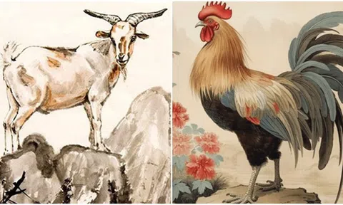 Từ 9/12 đến 19/12, 3 con giáp này sẽ gặp vận may bùng nổ trong sự nghiệp, có cơ hội thăng tiến