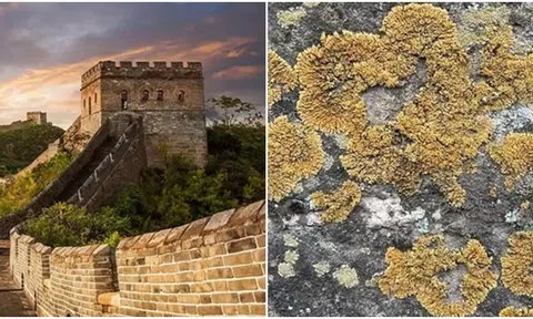 Tiết lộ thứ giữ Vạn Lý Trường Thành kiên cố qua hàng nghìn năm