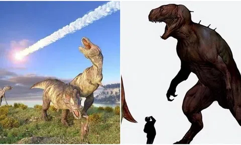 Khủng long đã thống trị trái đất hơn 100 triệu năm, tại sao chúng không phát triển trí thông minh?